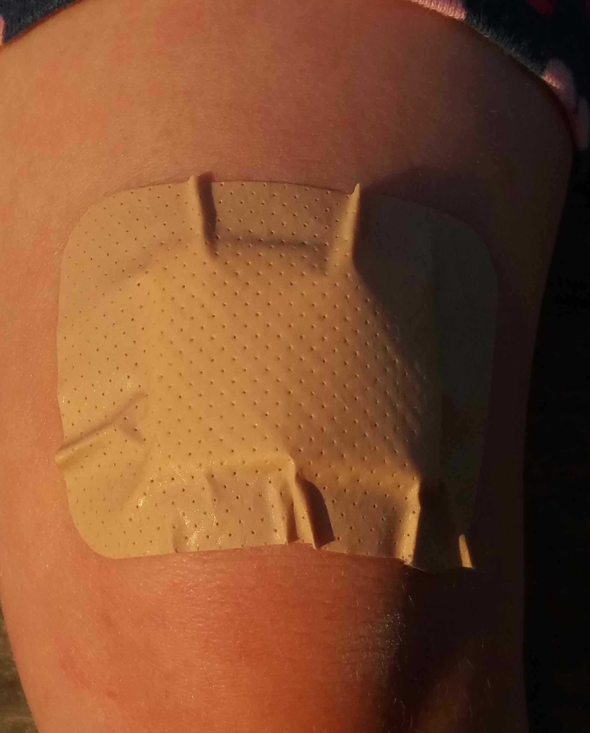 Knee