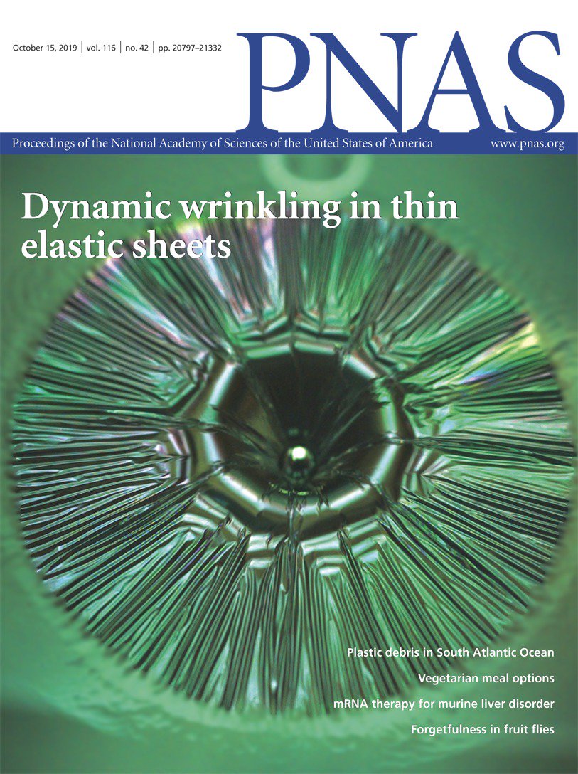 DynamicWrinkling