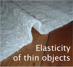 Elasticity
